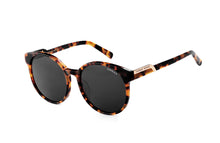 이미지를 갤러리 뷰어에 로드 , LBJC x EZYLENS 선글라스 LB102