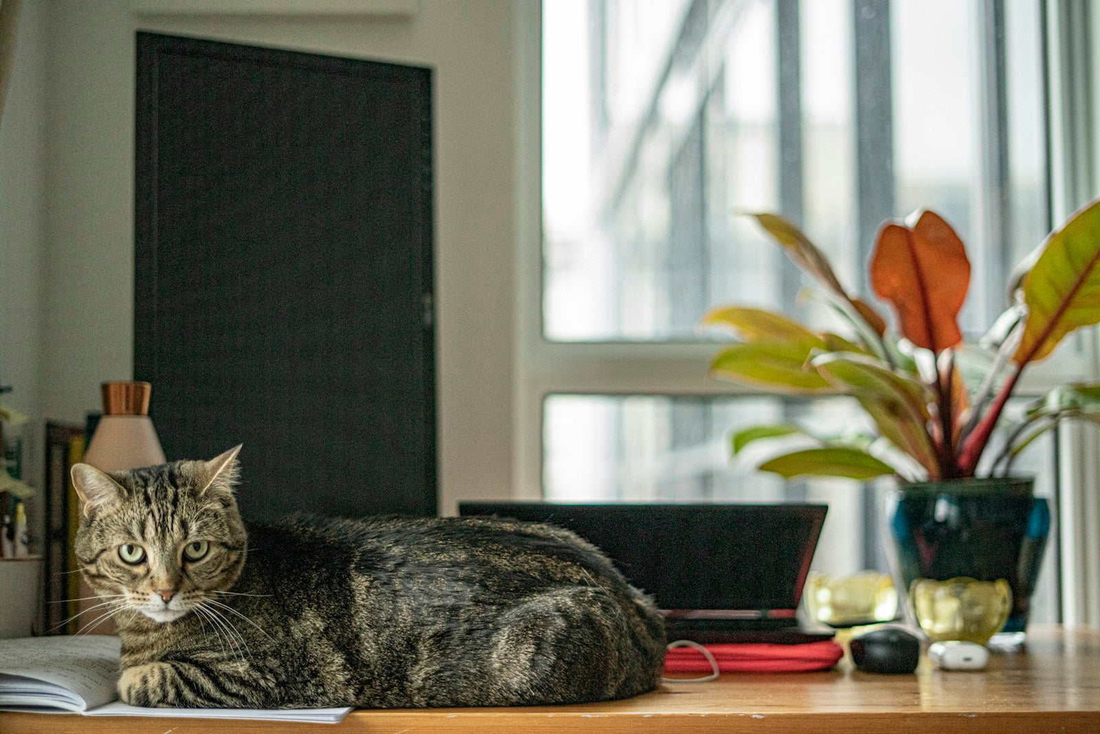 Why Are Your Eyes So Tired in Front of a Screen?